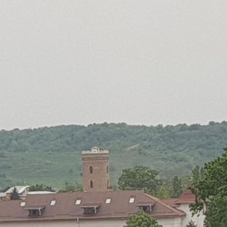 Hellen Apartament Targoviste Esterno foto