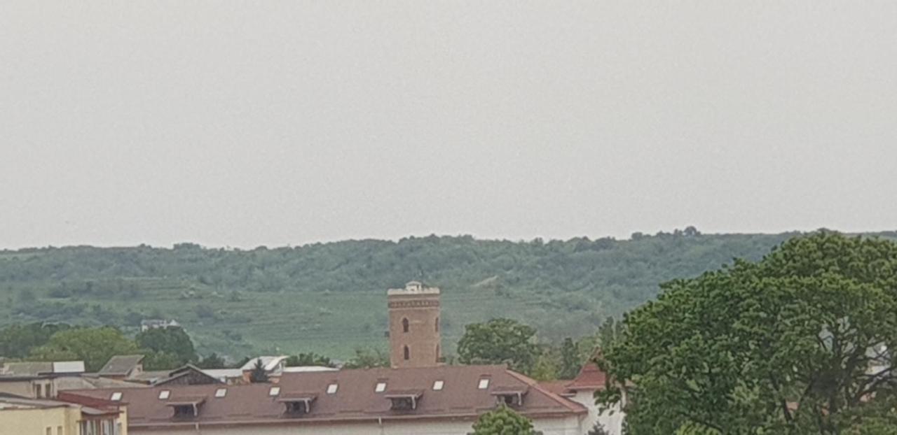 Hellen Apartament Targoviste Esterno foto